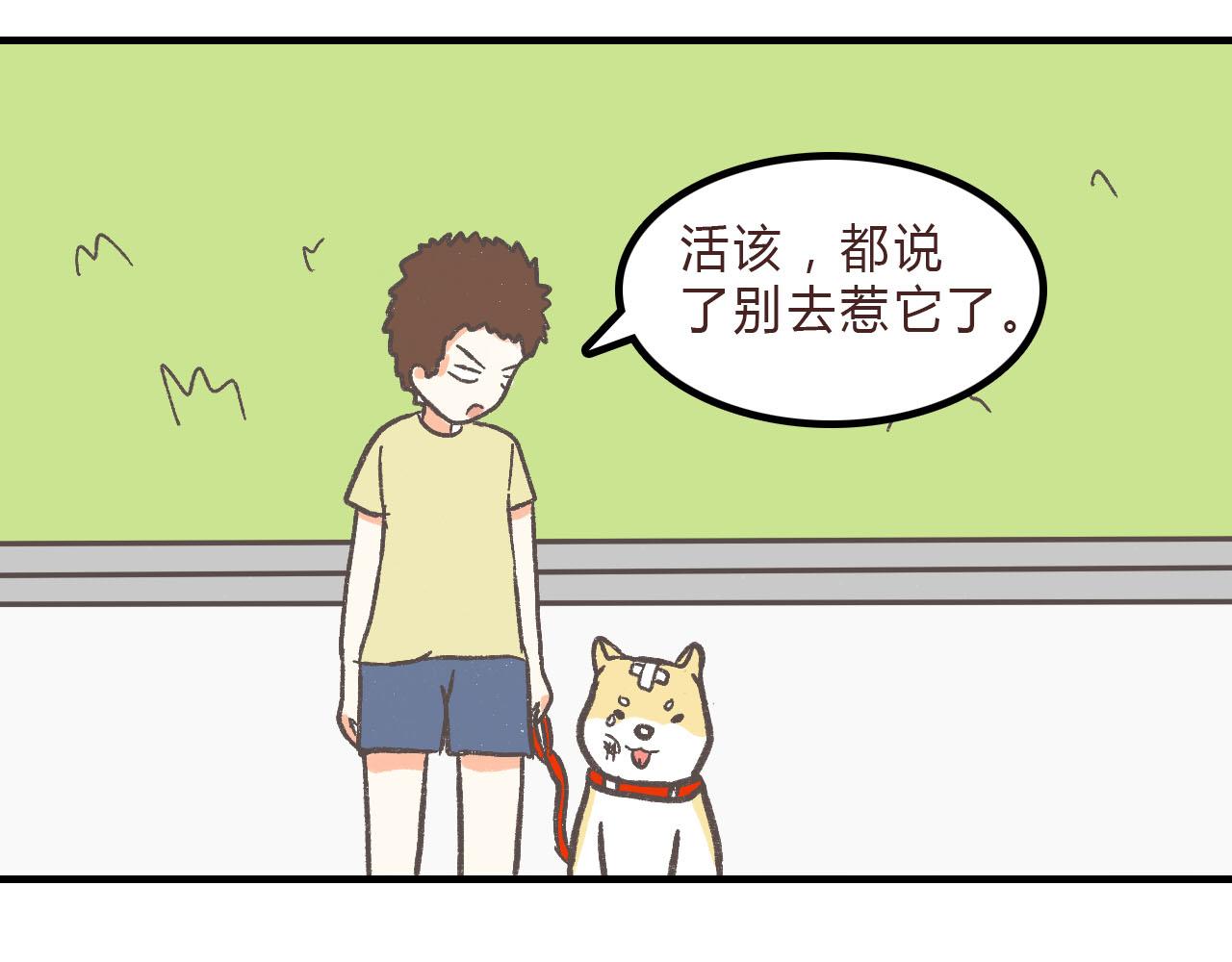 《宠物公寓》有只二哈属性的柴犭 第23页