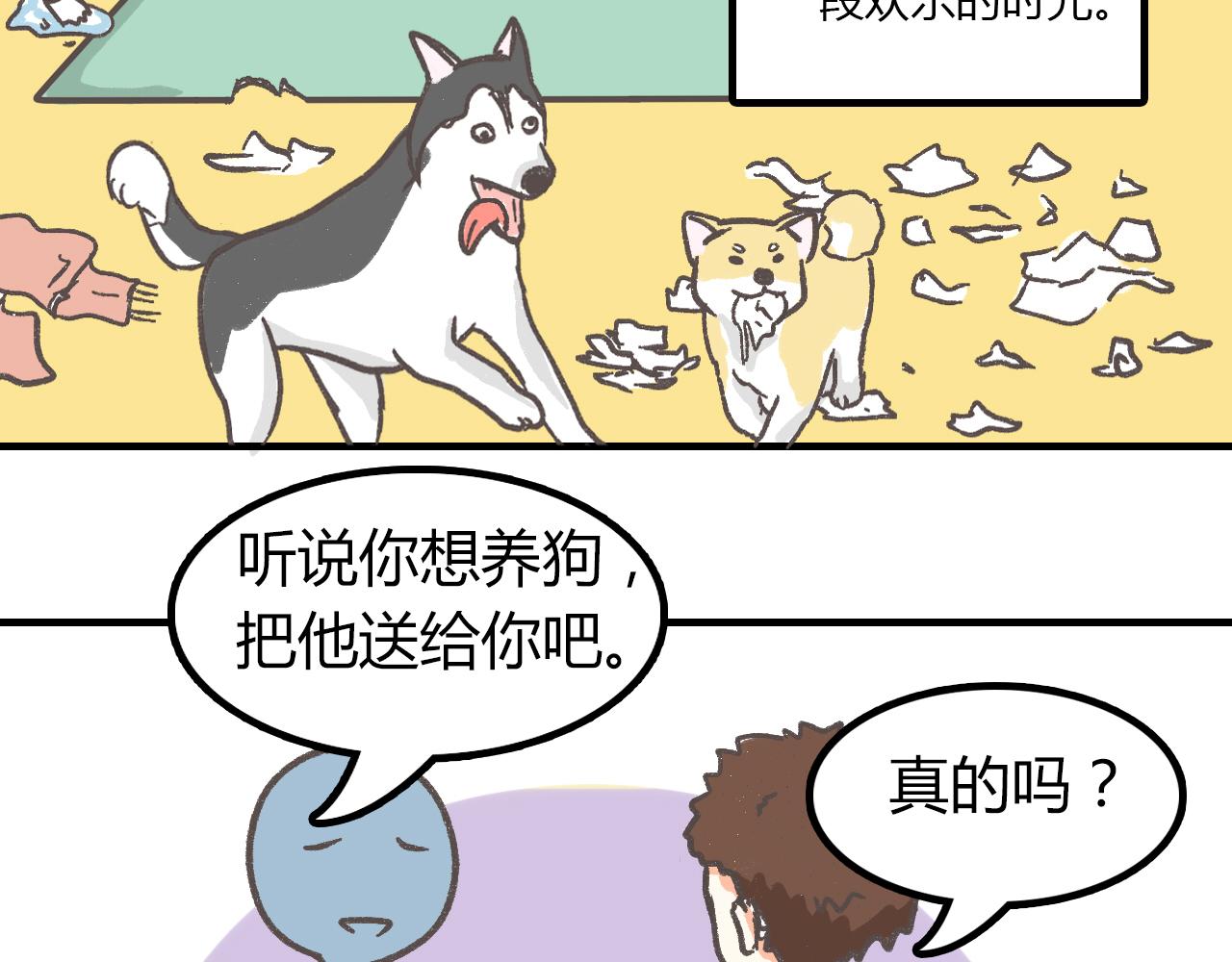 《宠物公寓》有只二哈属性的柴犭 第5页