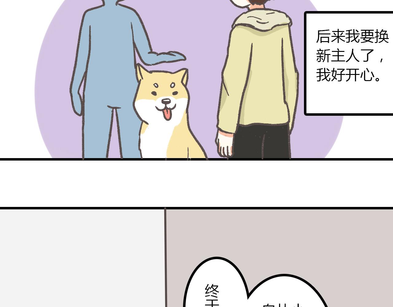 《宠物公寓》有只二哈属性的柴犭 第6页