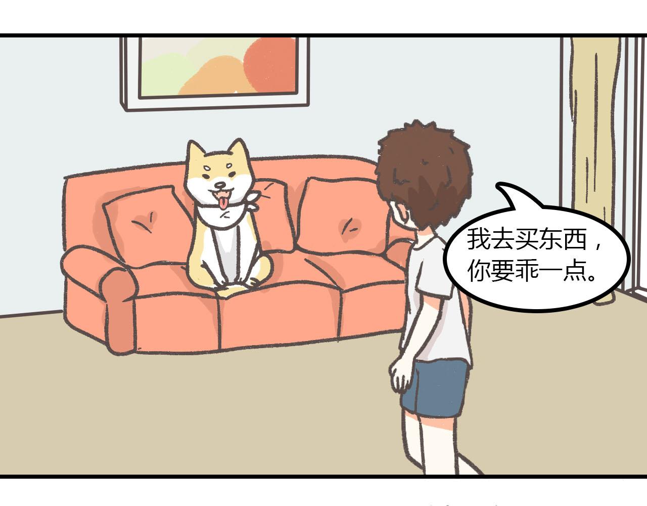 《宠物公寓》有只二哈属性的柴犭 第8页