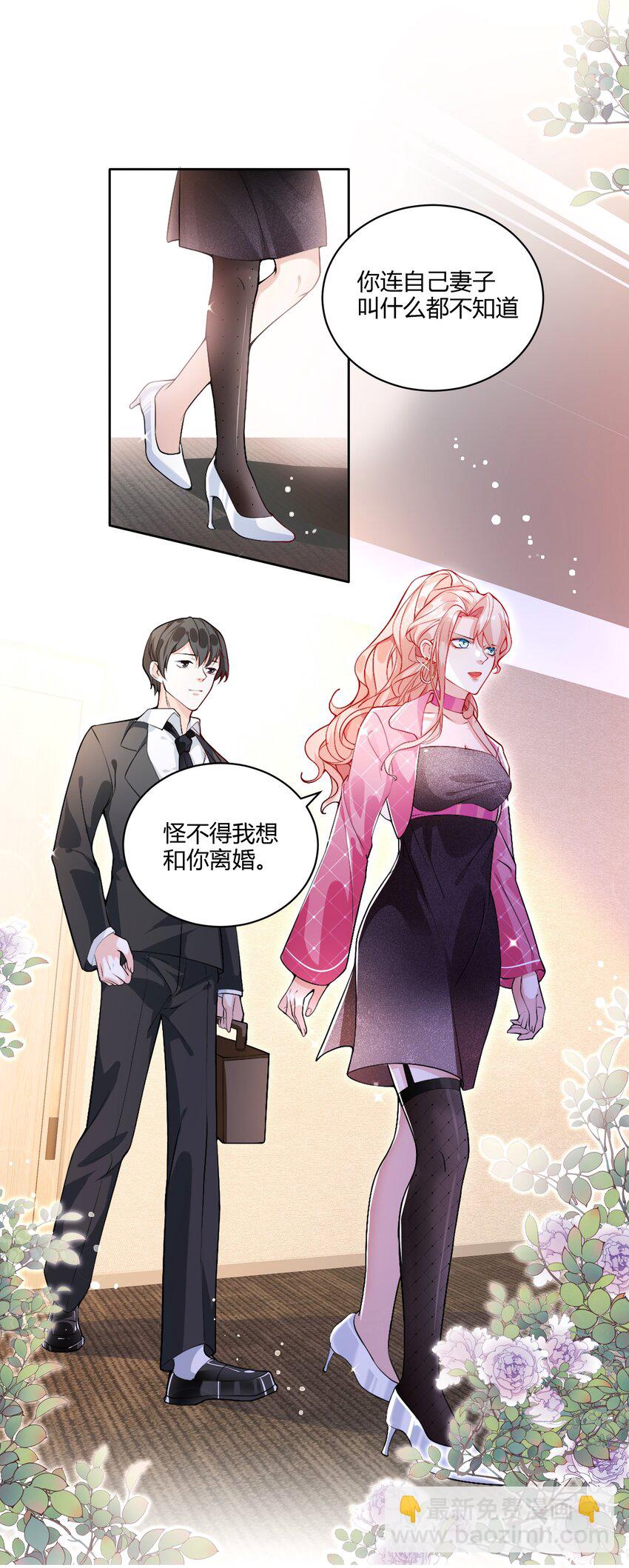 《离婚后全世界都在嗑我的CP》001 我要离婚！ 第27页