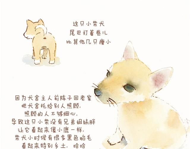 《执子之爪（半夏粉末）》这个纪念日礼物我好喜欢！ 第10页