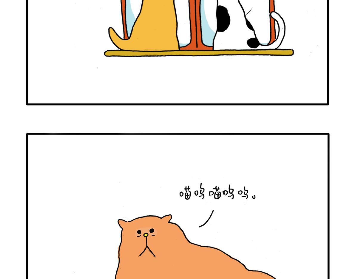 《日常杂念》看！波斯猫！ 第3页