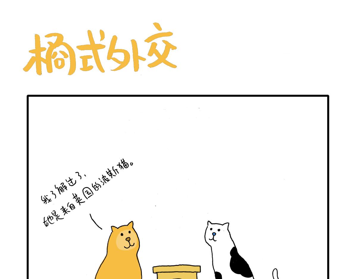 《日常杂念》看！波斯猫！ 第6页