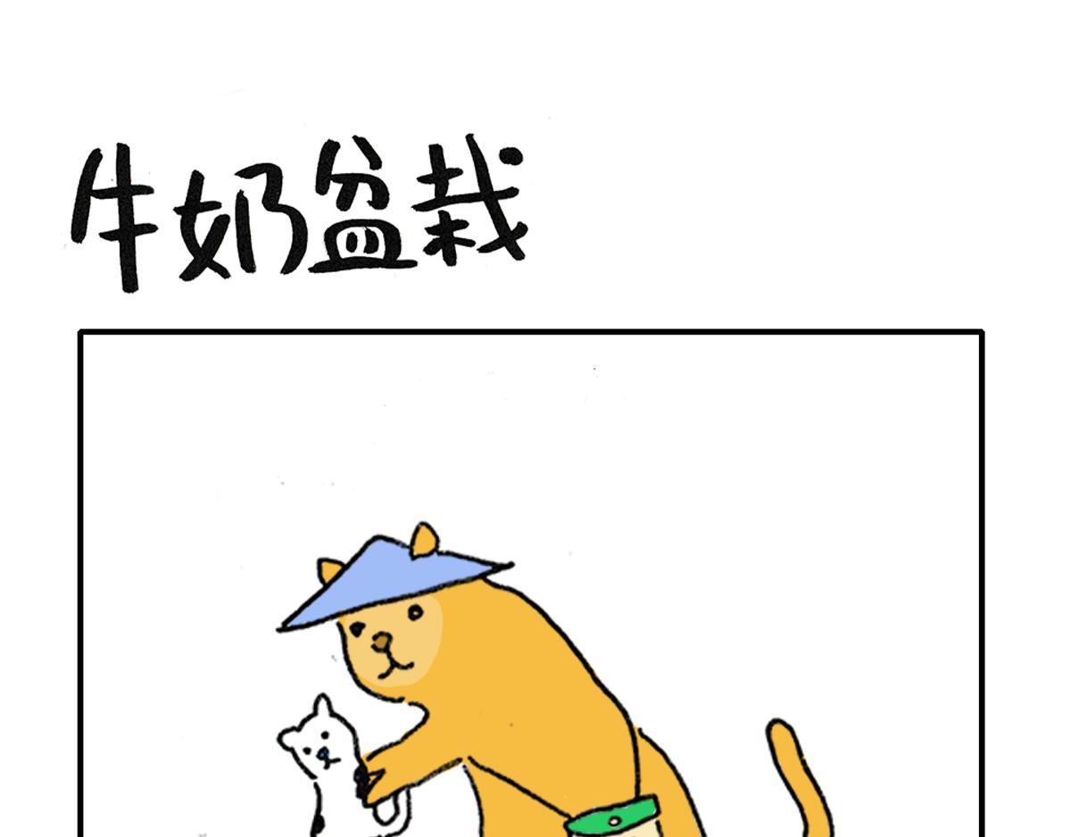 《日常杂念》猫是液体！（续） 第11页