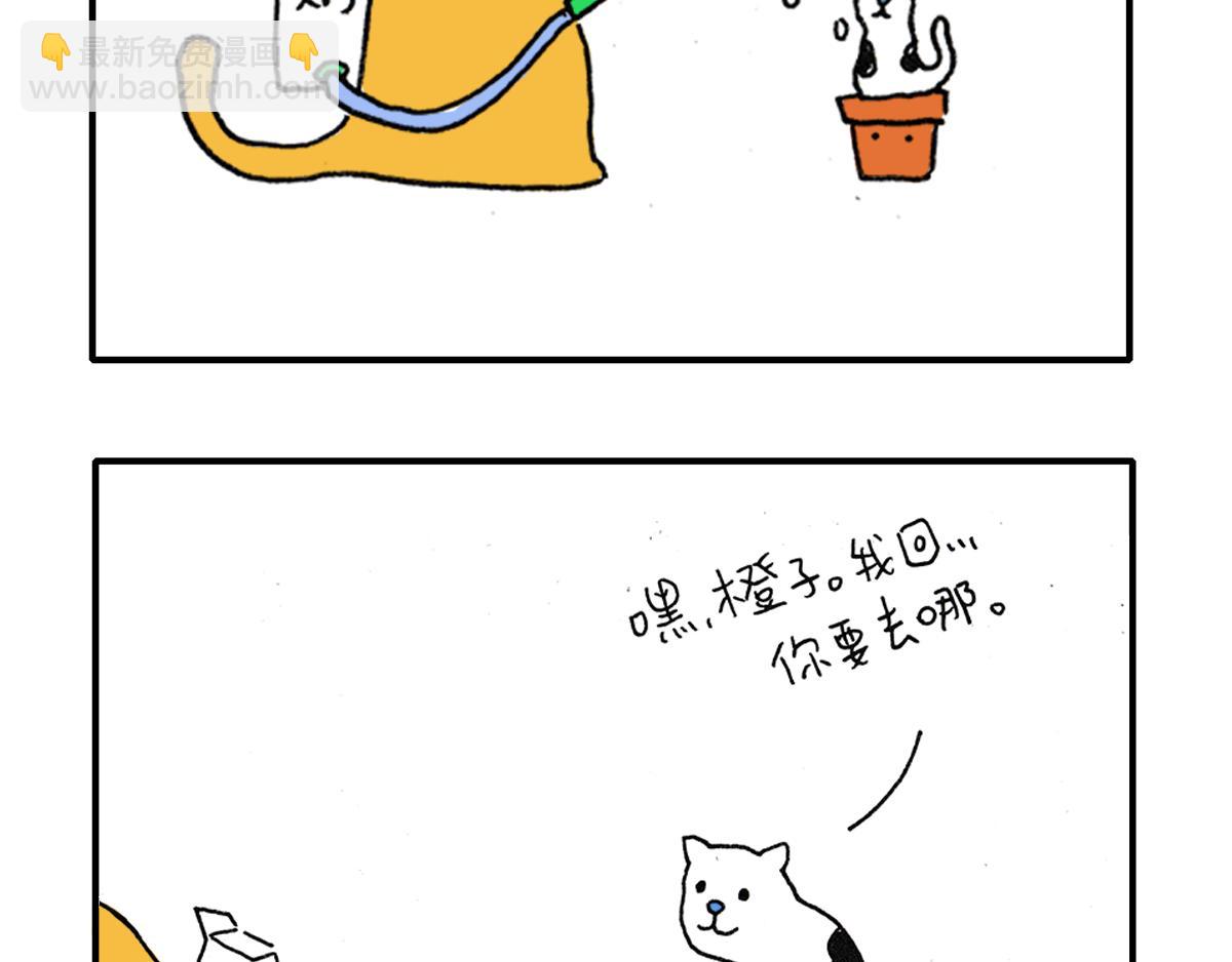 《日常杂念》猫是液体！（续） 第13页