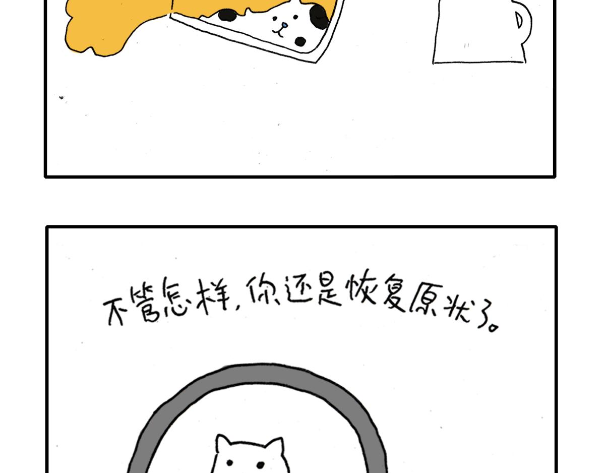 《日常杂念》猫是液体！（续） 第3页