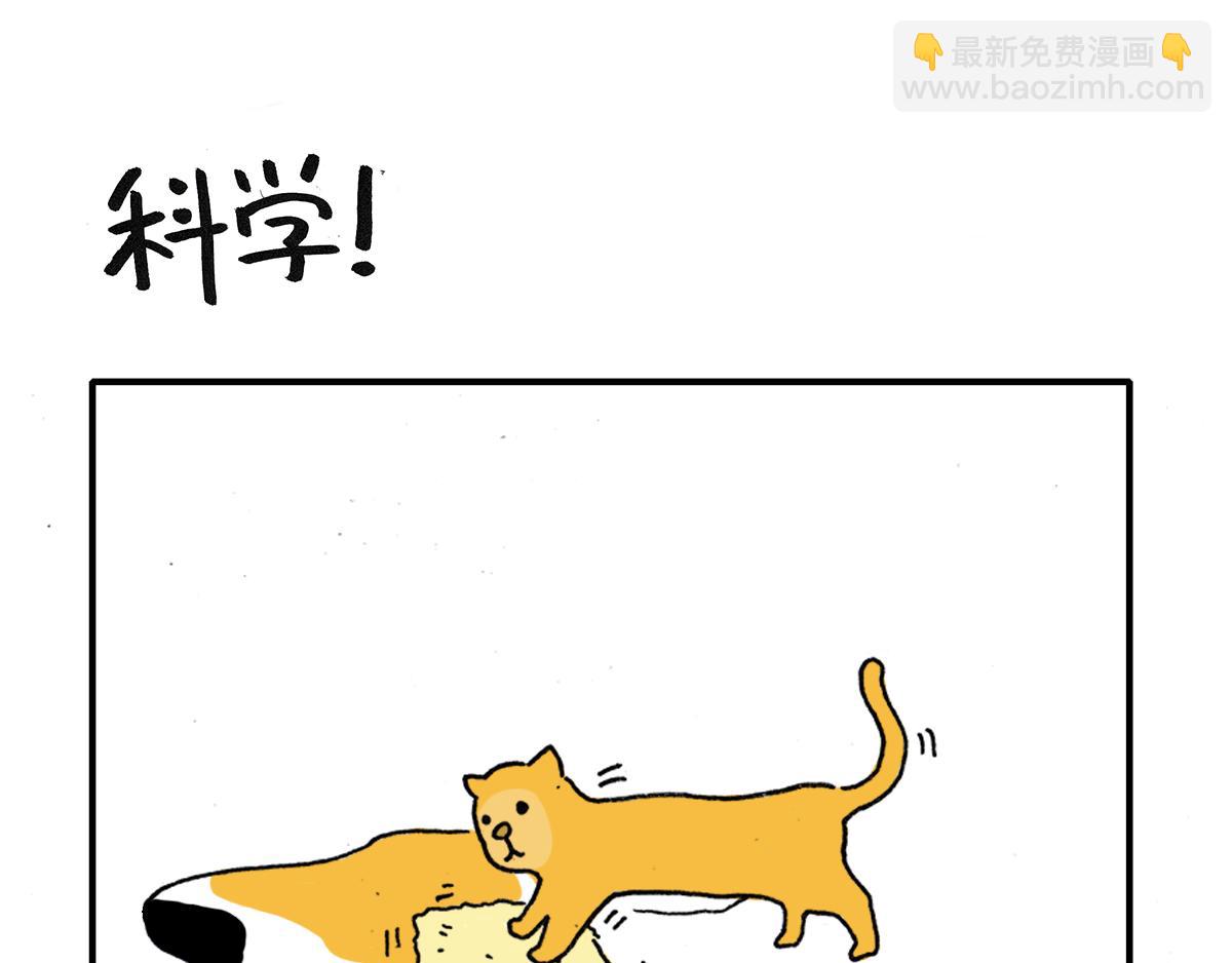 《日常杂念》猫是液体！（续） 第6页
