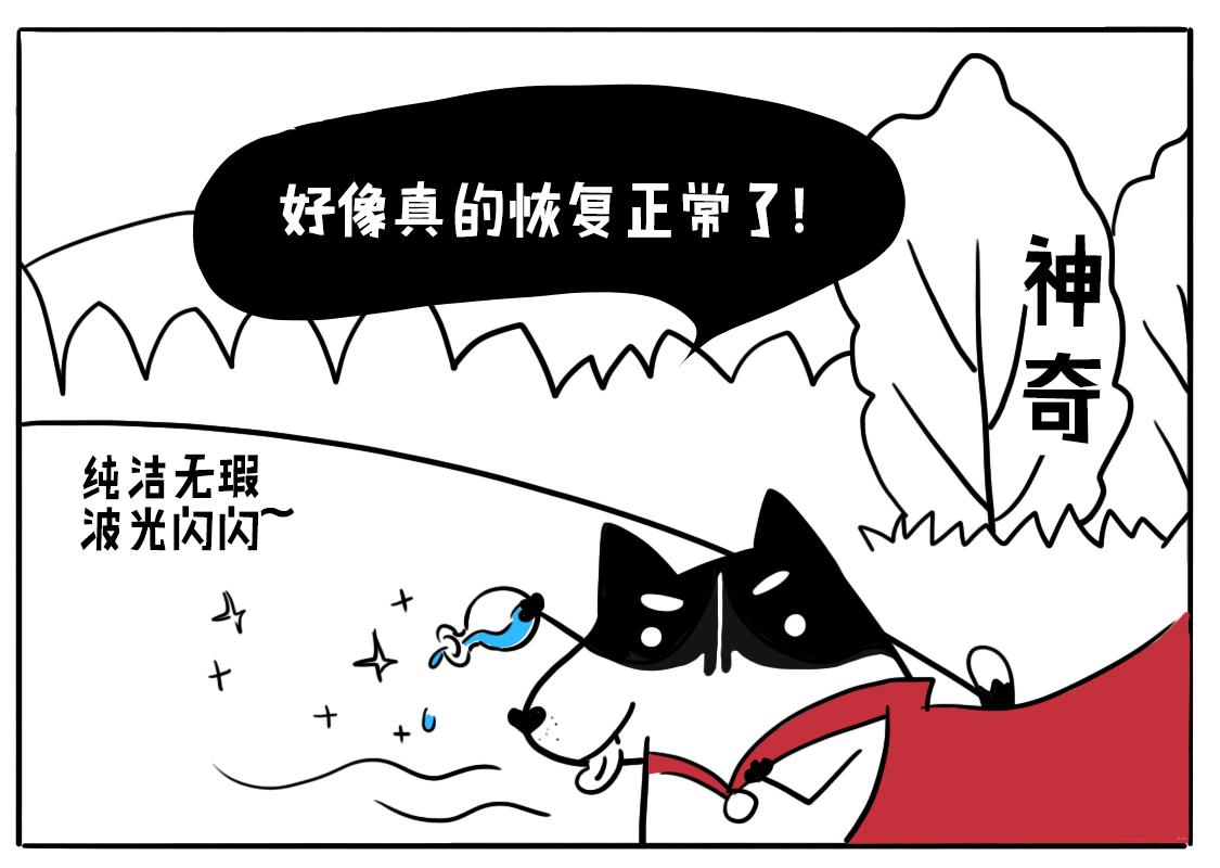《当当历险记》01神犭当当闪亮登场 第16页