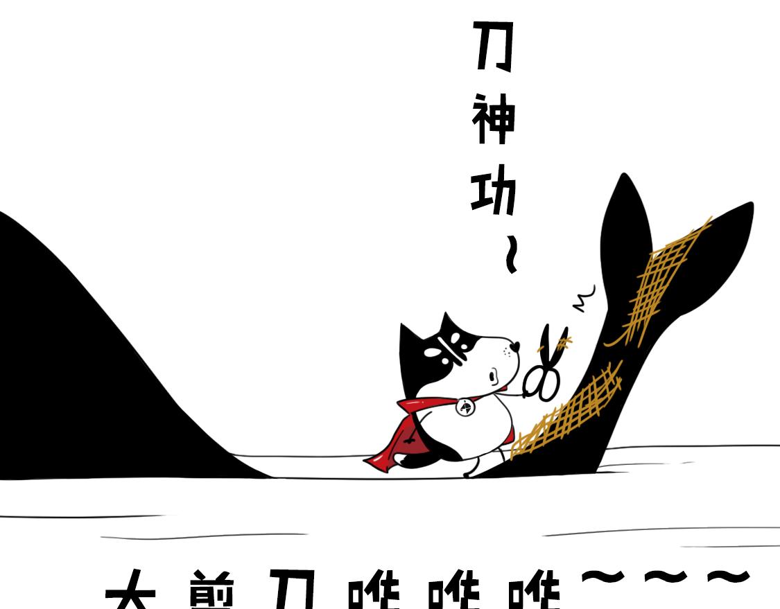 《当当历险记》02当当智救鲸鱼 第10页