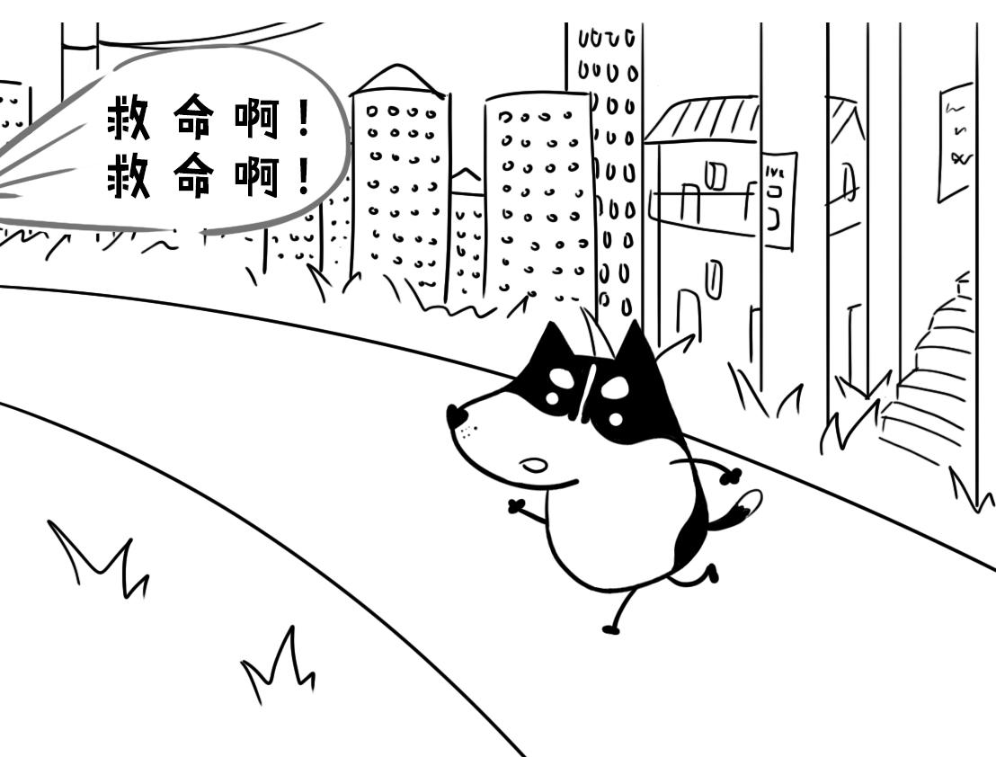 《当当历险记》02当当智救鲸鱼 第21页