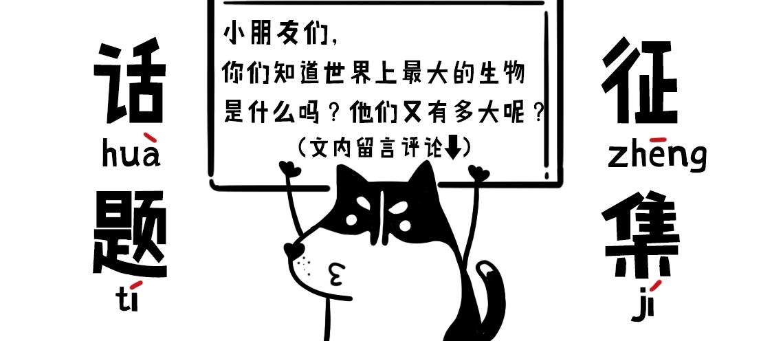 《当当历险记》02当当智救鲸鱼 第29页