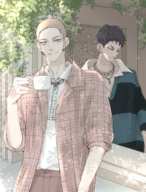 《一杯正好》漫画封面图 - tl漫画